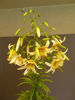 Foto: Dr. Peter Müller